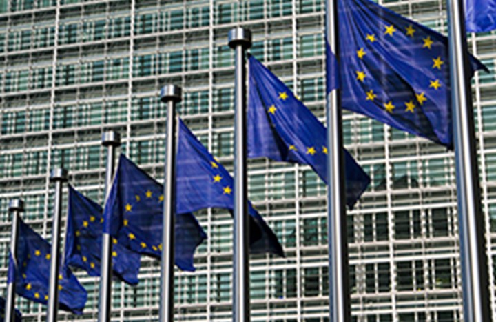 Euro flag