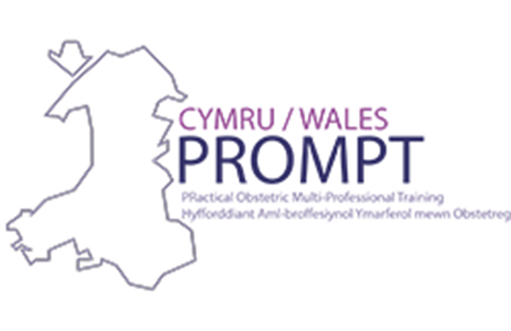 Web prompt logo
